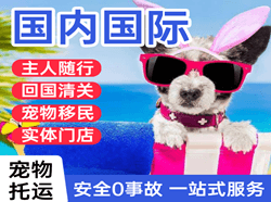 塔什库尔干红其拉甫航空快运国际宠物托运 【国